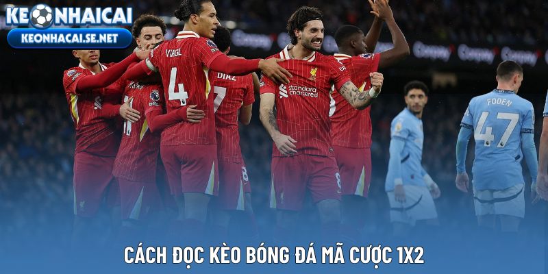 Cách đọc kèo bóng đá mã cược 1X2