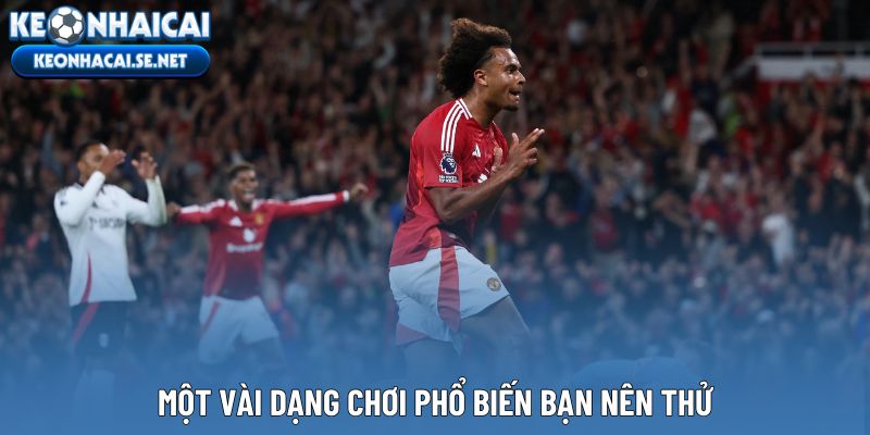 Một vài dạng chơi phổ biến bạn nên thử